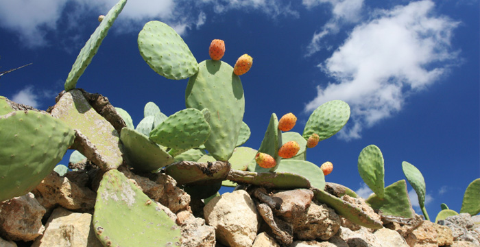 Wandern in Spanien